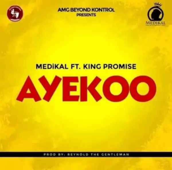 Instrumental: Medikal - Ayekoo ft King Promise
